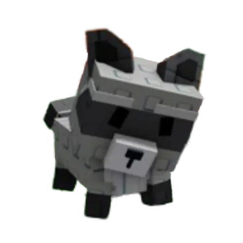1x Raccoon